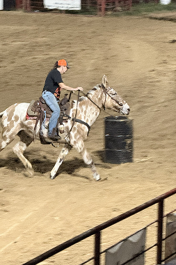 Experience Winnsboro